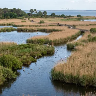 Le Teich